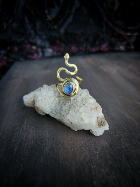Serpent Guardian Ring ft. Moonstone
